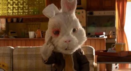 El video que se hizo viral: Ralph, el conejo contra el testeo animal