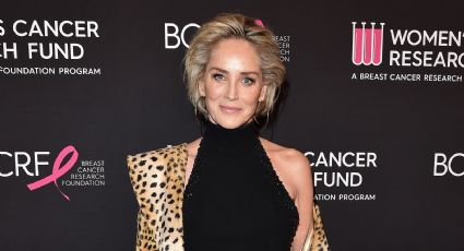 Sharon Stone, radiante en bikini a sus 63 años, demuestra que la belleza vence al tiempo