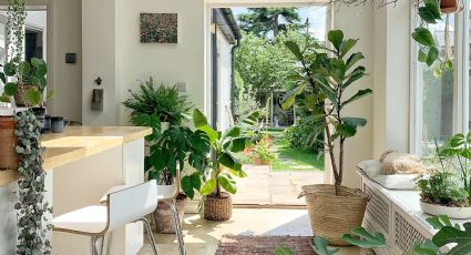 Feng Shui: 4 plantas que debes sacar de tu casa si quieres evitar las malas energías