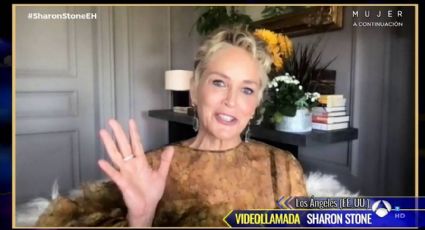 La terrible mala praxis que sufrió Sharon Stone, antes del ictus con el que perdió la memoria