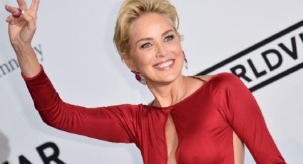 Paul Verhoeven, el director de "Instinto básico", acusó de mentirosa a Sharon Stone