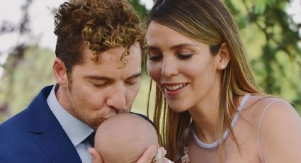 Rosanna Zanetti y David Bisbal quieren ser padres nuevamente