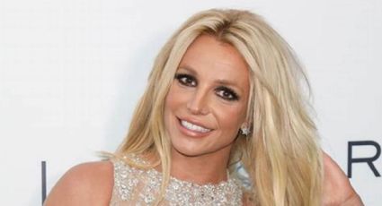 Britney Spears y el "Ejército del pop", las artistas que unen fuerzas para liberarla