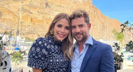 Así fue la boda de David Bisbal y Rosanna Zanetti