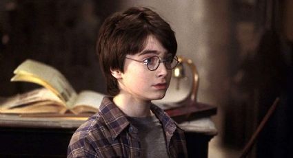 Así se verían los personajes de Harry Potter si fueran como la descripción de los libros