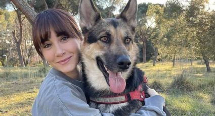 En el Día mundial del perro, Aitana y otros influencers comparten una postal con los suyos