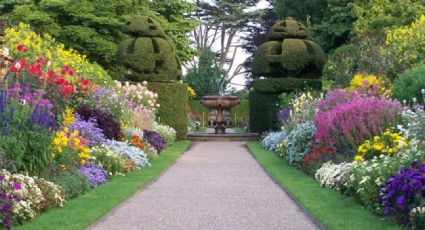 Estas son algunas de las increíbles plantas para decorar tu jardín este verano