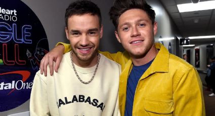 El emotivo último adiós de Niall Horan a Liam Payne