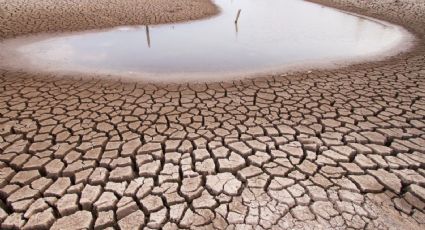 Cómo cambiar nuestro modo de vida para ahorrar agua