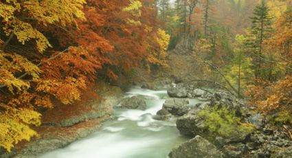 Los mejores destinos para viajar en otoño