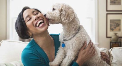 ¡Increíble! Los perros pueden entender las palabras humanas