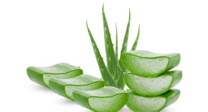 Cómo el jugo de aloe vera puede transformar tu salud