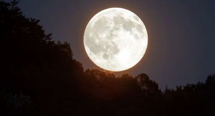 Luna llena en tauro: un llamado a la estabilidad y la conexión con la tierra