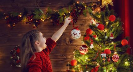 Plantas que pueden remplazar al árbol de Navidad