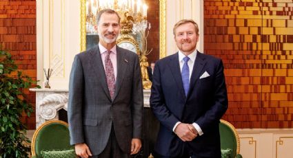 El increíble parecido de Felipe VI y Guillermo de Holanda