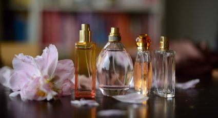 La increíble forma de renovar tu hogar al reciclar envases de perfumes