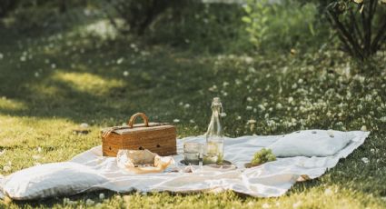 El picnic perfecto para disfrutar con amigos