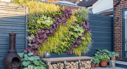 Estas son las plantas ideales para un jardín vertical