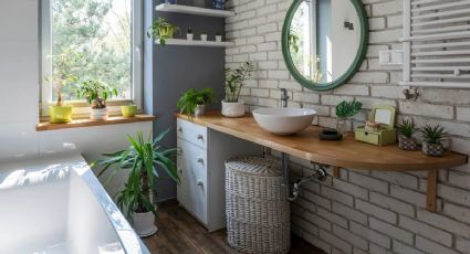 Las plantas ideales para decorar tu baño