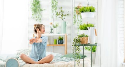 5 plantas con un significado especial para tu hogar