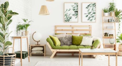 Decoración Sostenible: consejos para un hogar ecológico y elegante