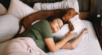 Dormir con tu perro: lo que desvela la ciencia sobre el sueño de tus mascotas