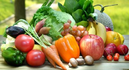 Conoce los alimentos más nutritivos para tu organismo