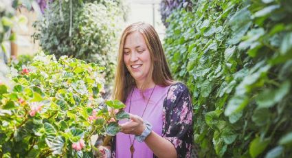 Las plantas de exterior más fáciles de cuidar