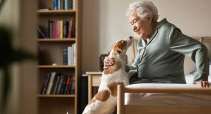 ¿Por qué los perros son la mejor compañía para las personas de la tercera edad?