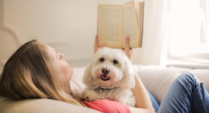 Los emocionantes libros que tienen animales como protagonistas