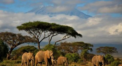 5 destinos perfectos en África para tu próximo viaje