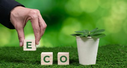 Transforma tu Hogar: 10 consejos para una vida más Eco-friendly