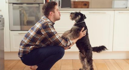 Por qué los jóvenes eligen tener mascotas en lugar de hijos