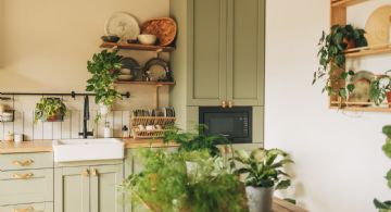 Las mejores plantas para decorar tu cocina