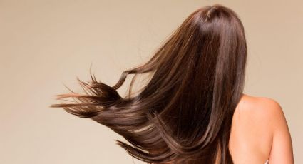 Las plantas medicinales que revitalizan y fortalecen tu cabello